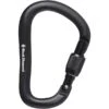 BLACK DIAMOND ROCKLOCK SCREWGATE CARABIN BLACK 23 -Passionné De Plein Air 9 69438 bd210256 0002 01